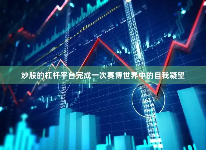 炒股的杠杆平台完成一次赛博世界中的自我凝望