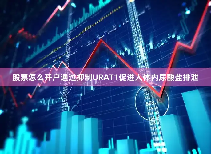 股票怎么开户通过抑制URAT1促进人体内尿酸盐排泄