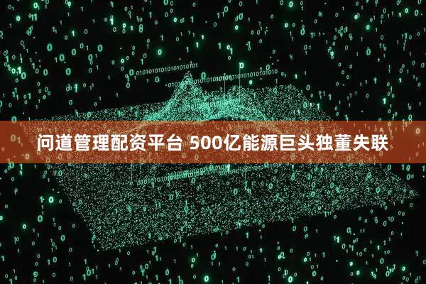 问道管理配资平台 500亿能源巨头独董失联
